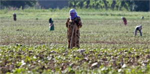 Kadınlara Tarımı Öğretemezsek, Tarımda Verimliliği Yakalayamayız