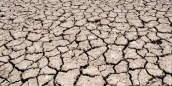 Uluslararası Katılımlı Kuraklık ve Çölleşme Sempozyumu