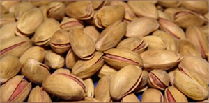 Gaziantep `Yeşil Altına` Sahip Çıkıyor