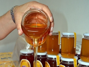 Yüksek rakımlı yaylalar bal rekoltesini artırdı