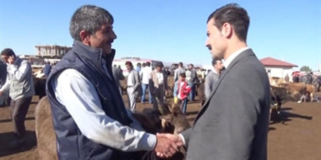 Ağrı`dan Sevk Edilen Kurbanlıktan 182 Milyon TL Gelir Bekleniyor