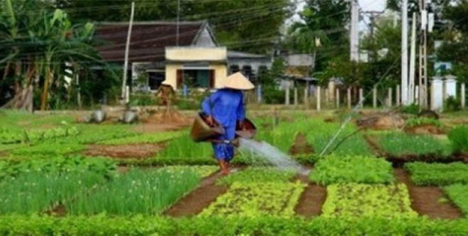 Nevşehir Göreme`de `Aile Çiftçiliği Toplantısı`` düzenlenecek