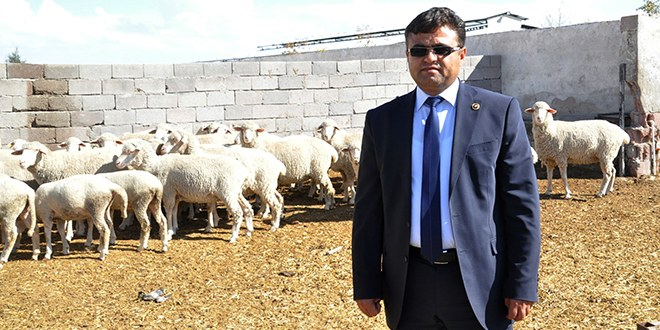 Aksaray`da Hayvan Destekleme Müracaatı Başladı