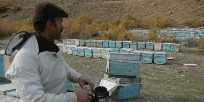 Karakovan Balı Görücüye Çıktı