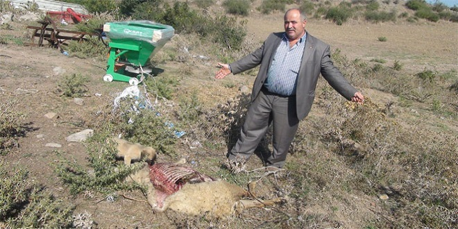 Bayramın Değil Hastalığın Kurbanı Oldular