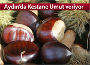 TZOB Başkanı Bayraktar Sultanhisar Ziraat odasını ziyaret etti