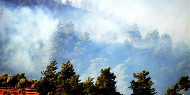 Bodrum ve Milas`ta Anız Yangını Ormana Sıçradı