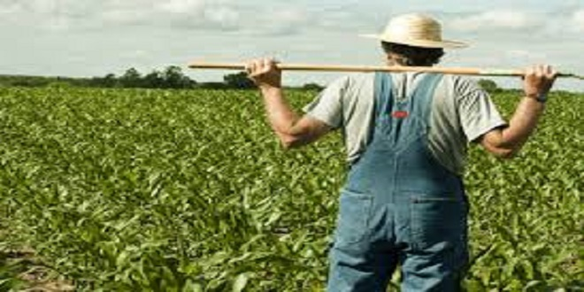 Tarımda yeni bir sigortalama sistemi geliyor