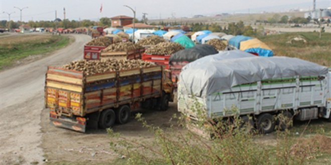 Çorum`da Kilometrelerce Pancar Kuyruğu