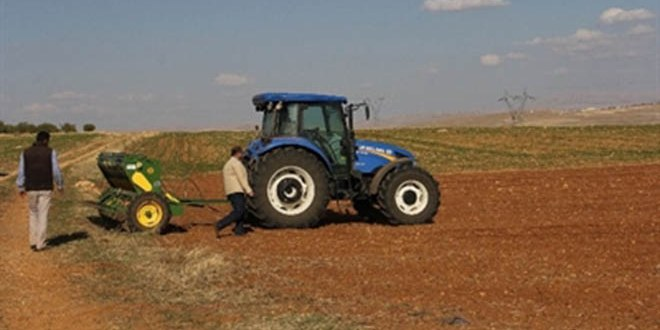 Darende`de Üstün Verimli Buğday Denemesi