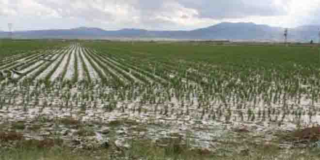 Doğal Afetler Üreticiyi Vurdu