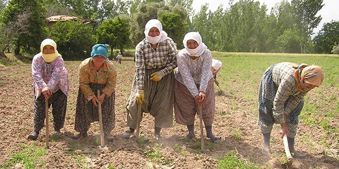 Dünya Çiftçi Kadınlar Günü