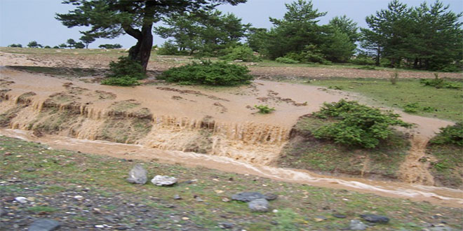 Erozyon Her Yıl 24 Milyar Ton Toprağı Yok Ediyor