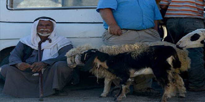 Filistin`de Kurban Bayramı