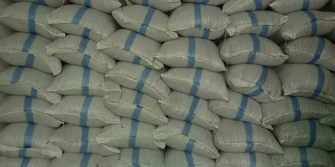 Fındık Kabuğu Kömürü Solladı