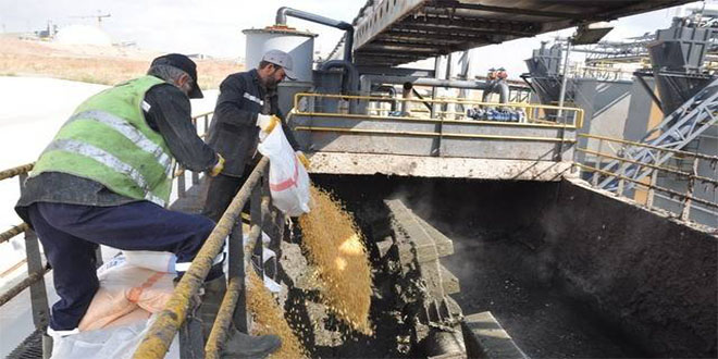 İki Ton Bozulmuş Mısır İmha Edildi