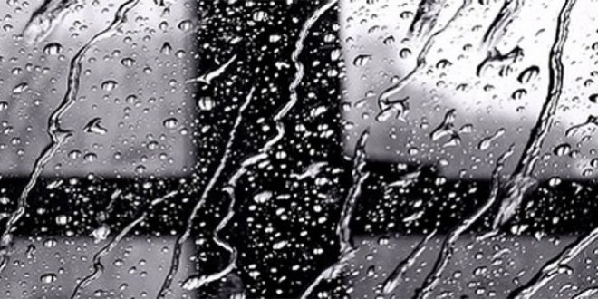 Yozgat`ta İki Gündür Süren Yağmur Bölge Çiftçisini Sevindirdi