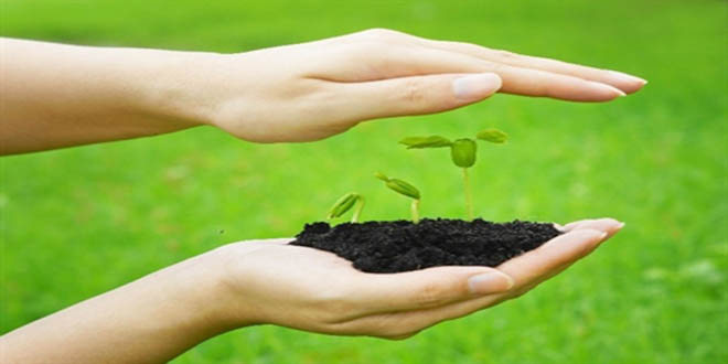 İzmir`in Yerel Tohum Şenliği 12 Ekimde