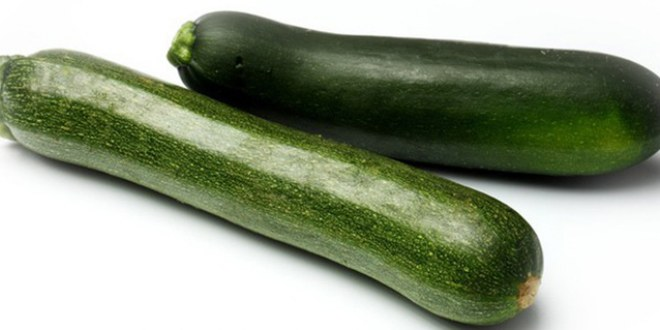 Kansere Karşı Koruyucu Kalkan Kabak