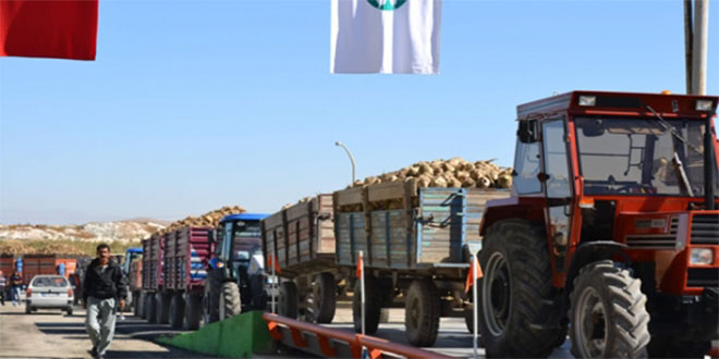 Kar Yağışı Erken Hasat Getirdi