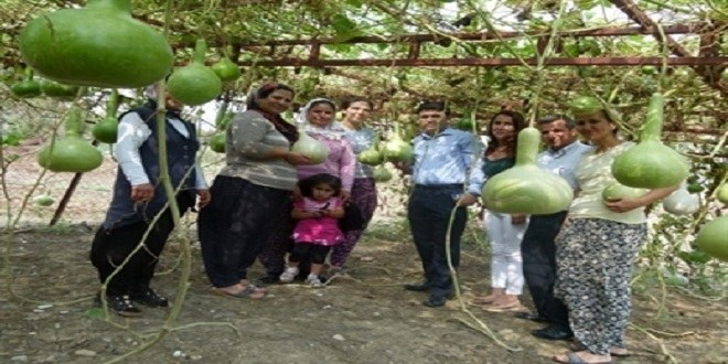 Karaisalı`da `Su Kabağı, Süs Kabağı` Projesi Başladı