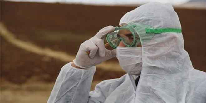 Kars`ta `Afrika Hastalığı` Şüphesi