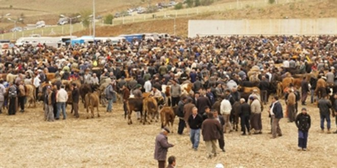 Kastamonu`da Kurban Bayramı, Bereketli Geçti