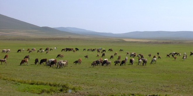 Mera Kanunu Trakya`da ki Çiftçileri Zor Durumda Bıraktı