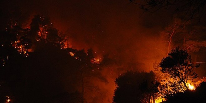 Muğla`daki Yangınlarda 52 Hektar Alan Zarar Gördü