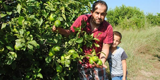Üretici Tüketici Buluşması Olmadığı Sürece Meyve Sebzeyi Pahalı Yeriz