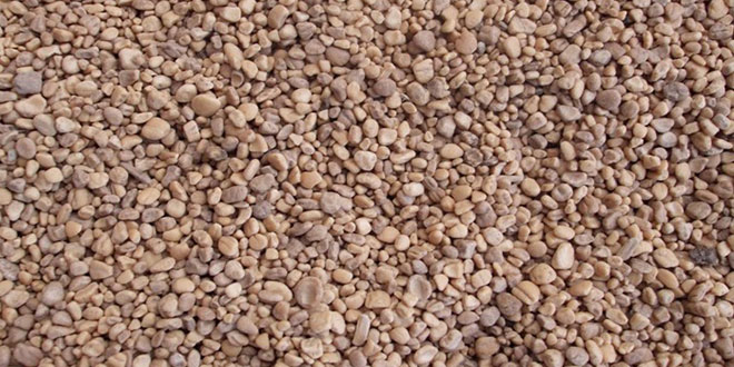 Mucize Atık: Pirina