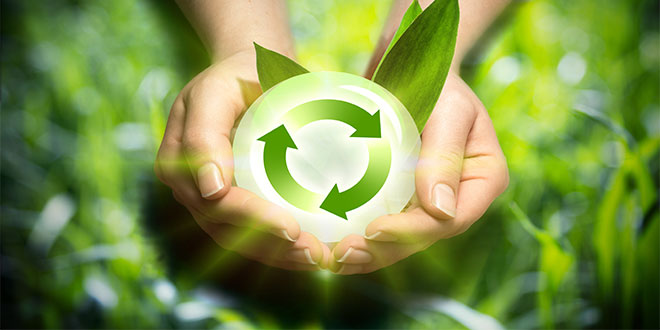 Yenilenebilir Enerji Kaynağı `Biyokütle` Nedir?