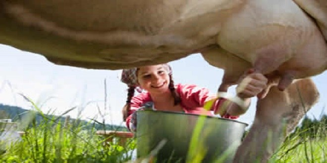 Rusya Yaptırımı Bavyeralı Üreticileri Etkiledi