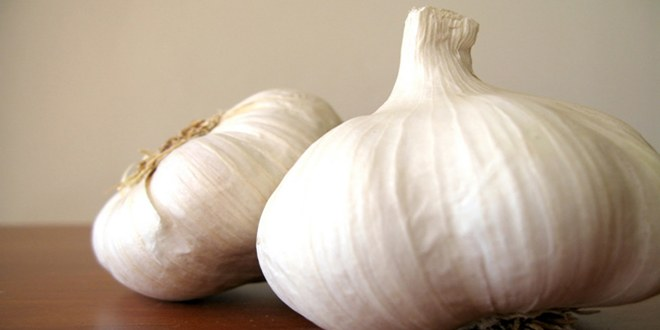 Sarımsak Üreticilerinin Yüzü Gülüyor