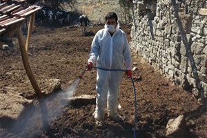 Selendi`de Kuduz Vakası Görüldü