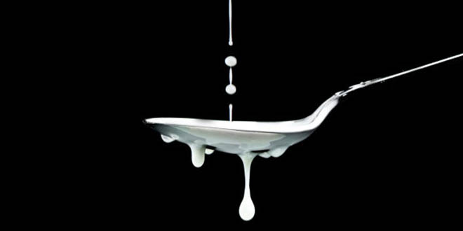 Erzurum`da `Süt Çalıştayı` Yapılacak