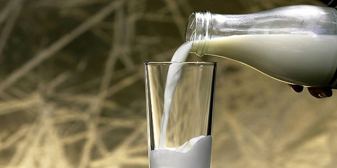 Sütaş Makedonya`ya sütçülüğü öğretecek