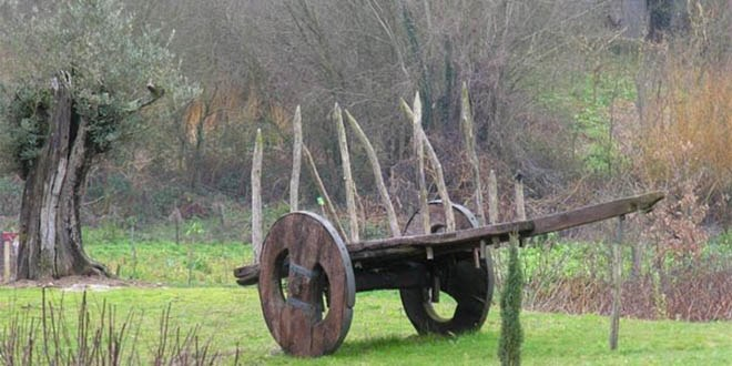 Kırklareli`nde 8 Bin Yıllık Tarım Kalıntıları Bulundu