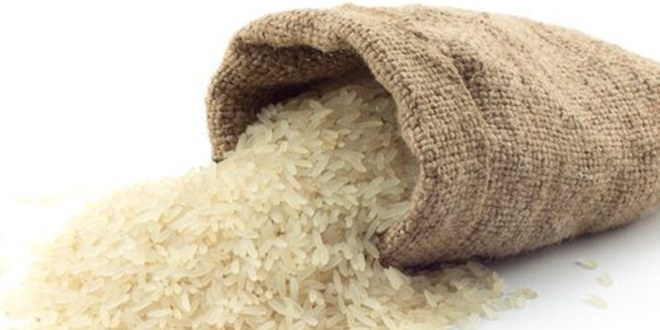 TİKA`dan Balkanlar`a Türk Pirinci