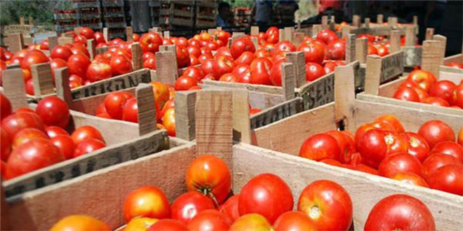 Toptancı Hali`nde Üretim Sezonu Açılışı Yapıldı