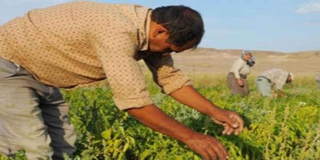 Çiftçinin Bütçe Umudu Başka Bahara Kaldı