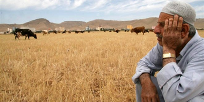 Mera Alanlarımız Sürekli Azalıyor