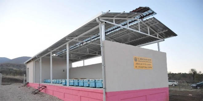 Üniversitede Üretiliyor, 60 TL`den Satılıyor