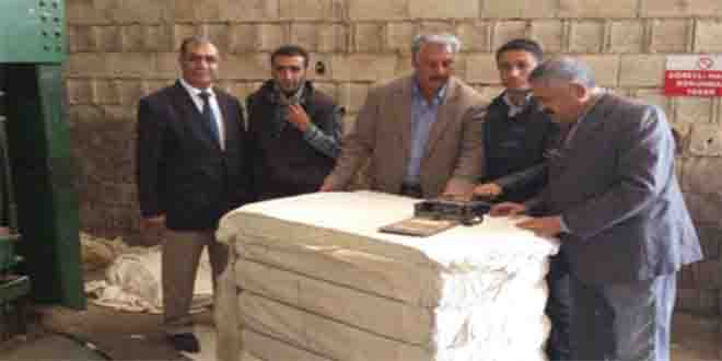 Urfa Pamuğu, Kalite Standardını Yakaladı