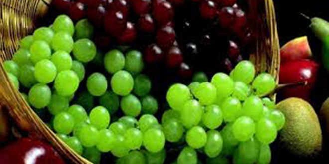 Üzüm Üzdü Zeytin Güldürdü