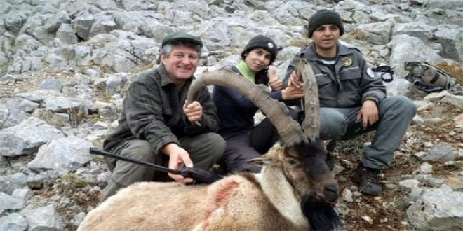 12 Yaban Keçisi 214 Bin Liraya Avlanacak