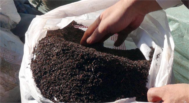 Bayburt`ta 17 Ton Kaçak Çay Ele Geçirildi