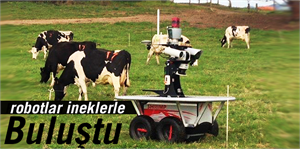 Robotların İneklerle Buluştuğu Tesis