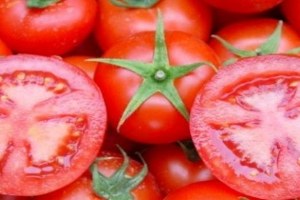 3. Domatexpo Fuarına Doğru