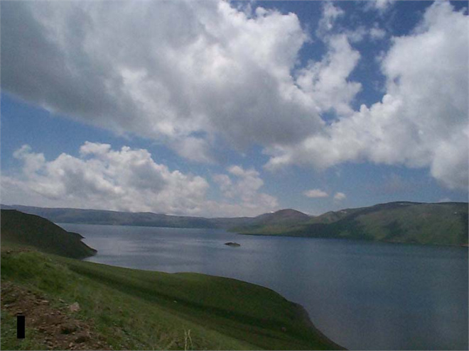 Balık Gölü Alabalığı Koruma Altına Alındı